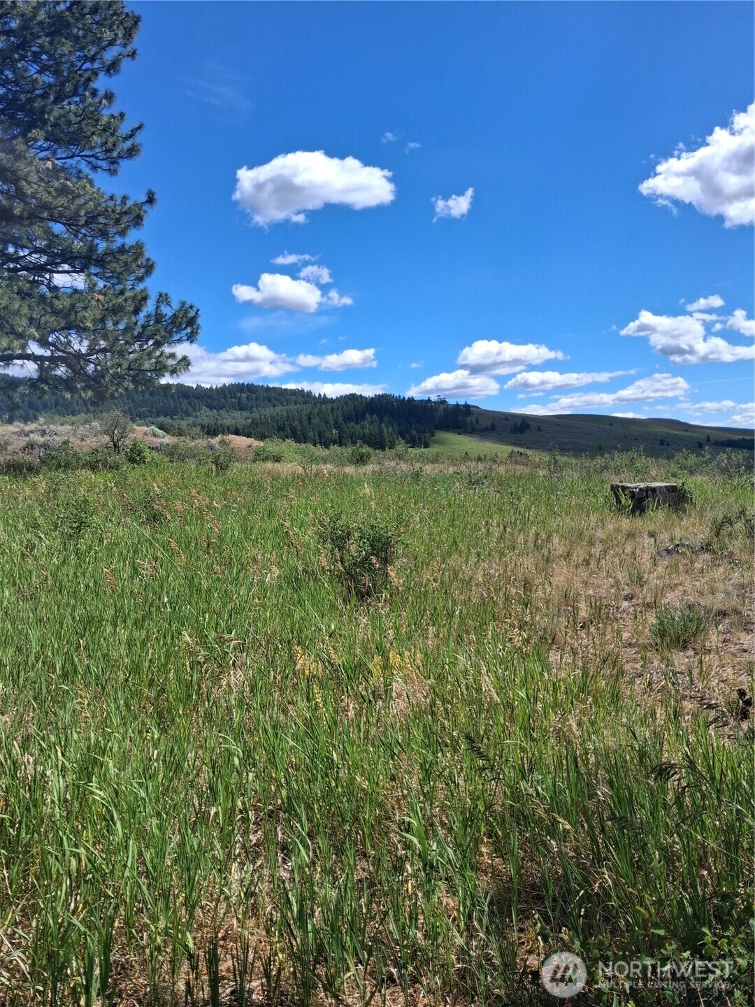 1 Fletcher/rd 225 Road Property Photo 10