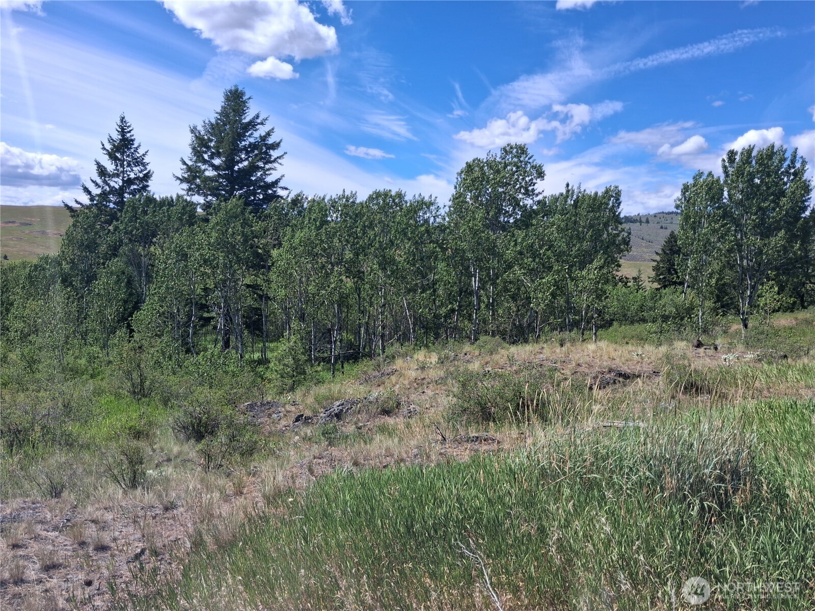 1 Fletcher/rd 225 Road Property Photo 11