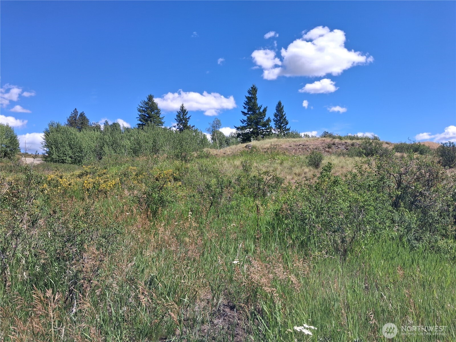 1 Fletcher/rd 225 Road Property Photo 12
