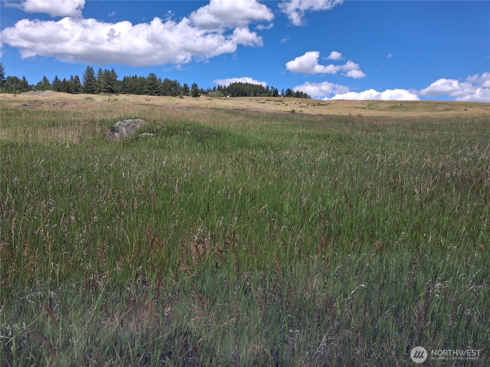 1 Fletcher/rd 225 Road Property Photo 13