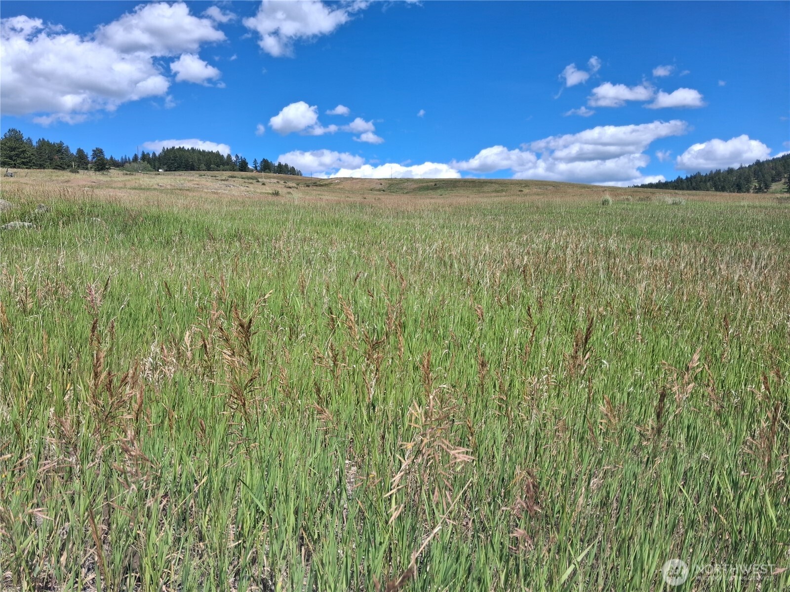 1 Fletcher/rd 225 Road Property Photo 14