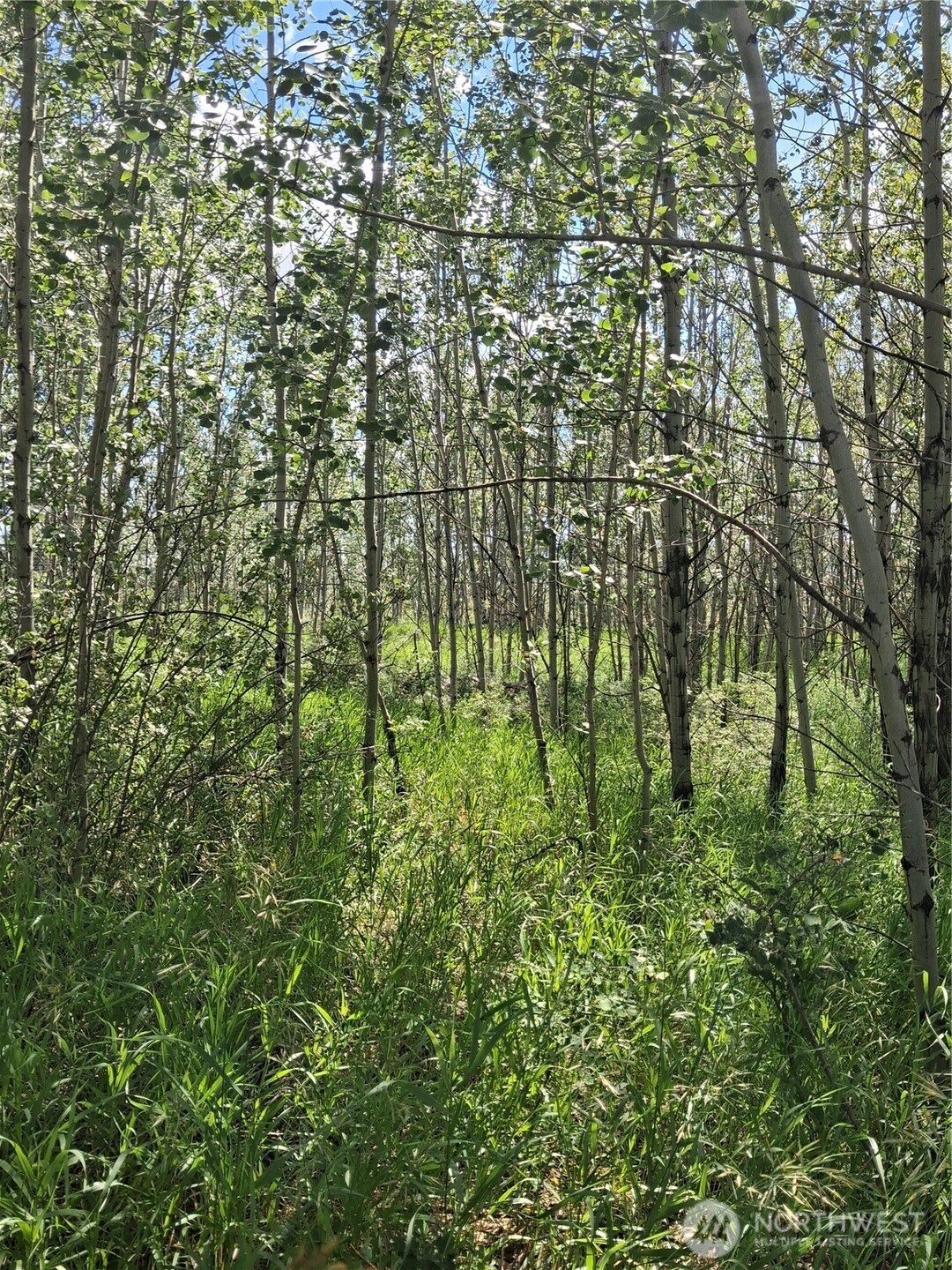 1 Fletcher/rd 225 Road Property Photo 15