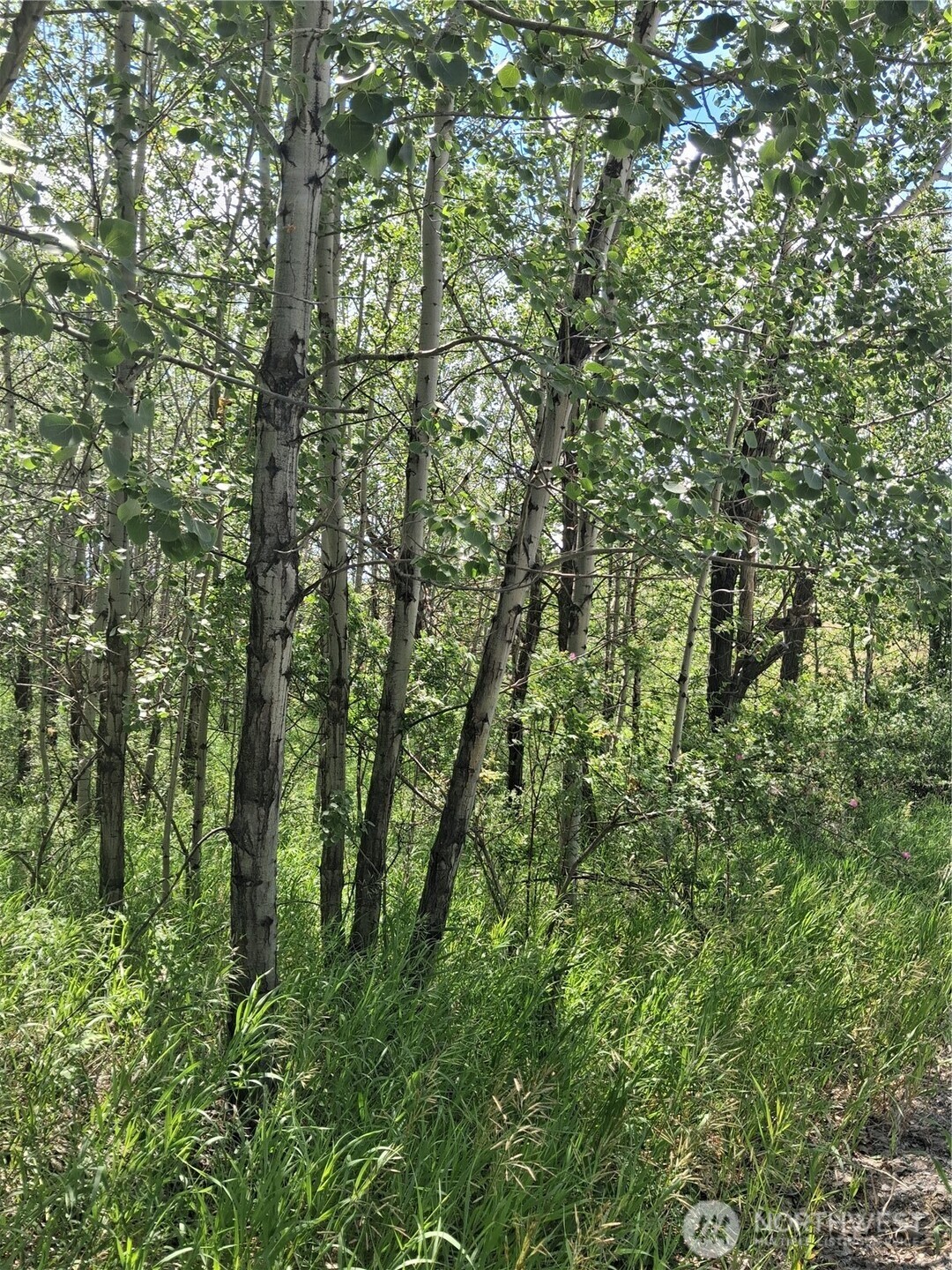 1 Fletcher/rd 225 Road Property Photo 16