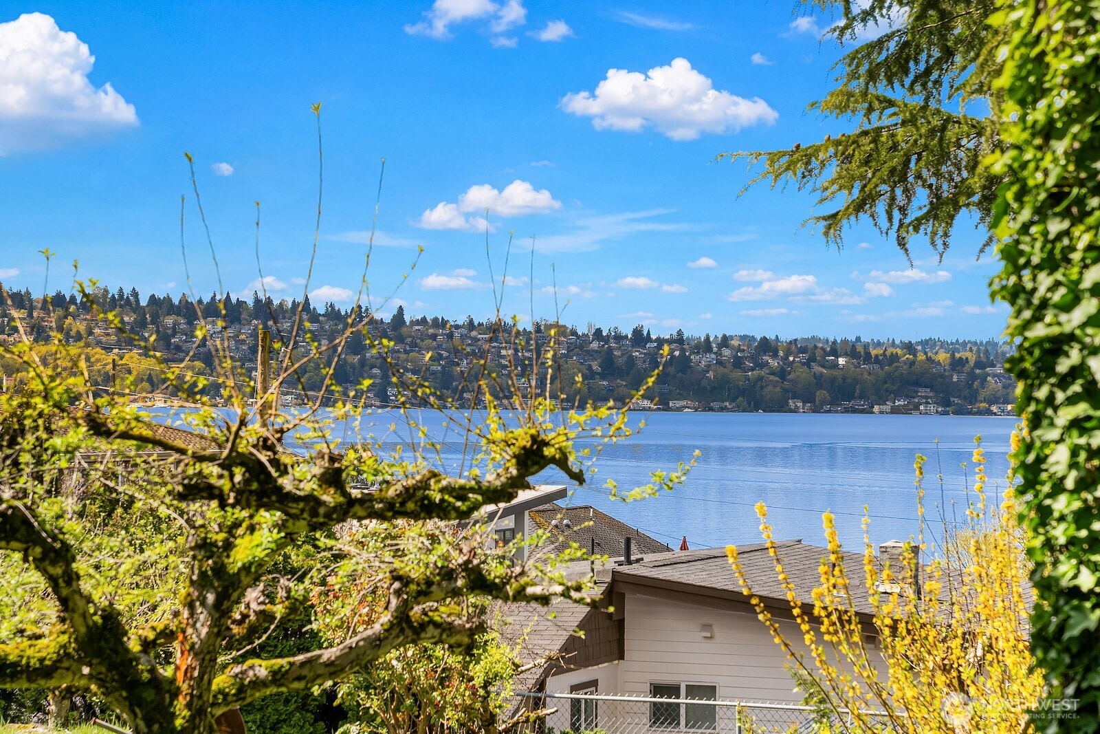 3737 Park Avenue Property Photo 8