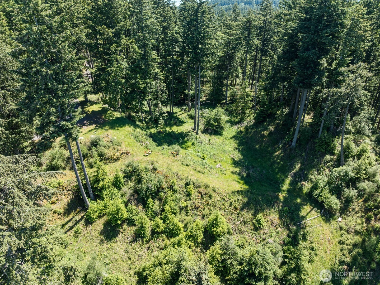 23 Tsuga Lane Property Photo 6