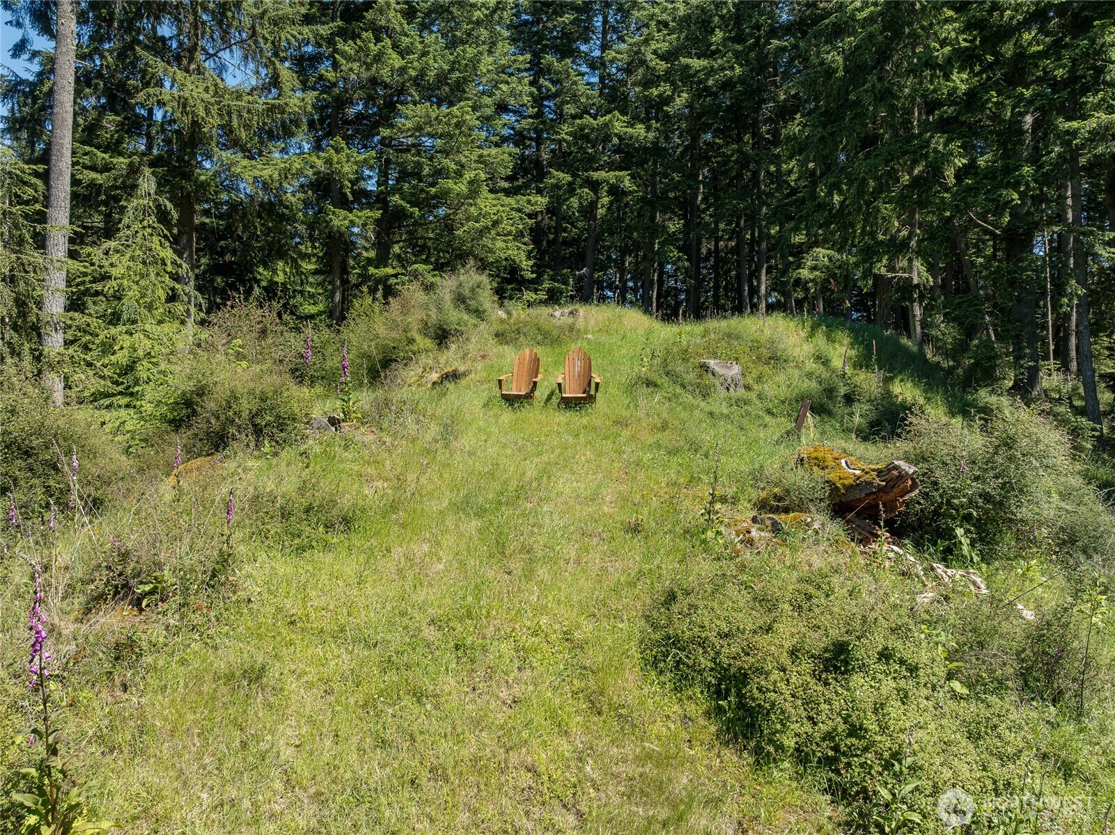 23 Tsuga Lane Property Photo 9