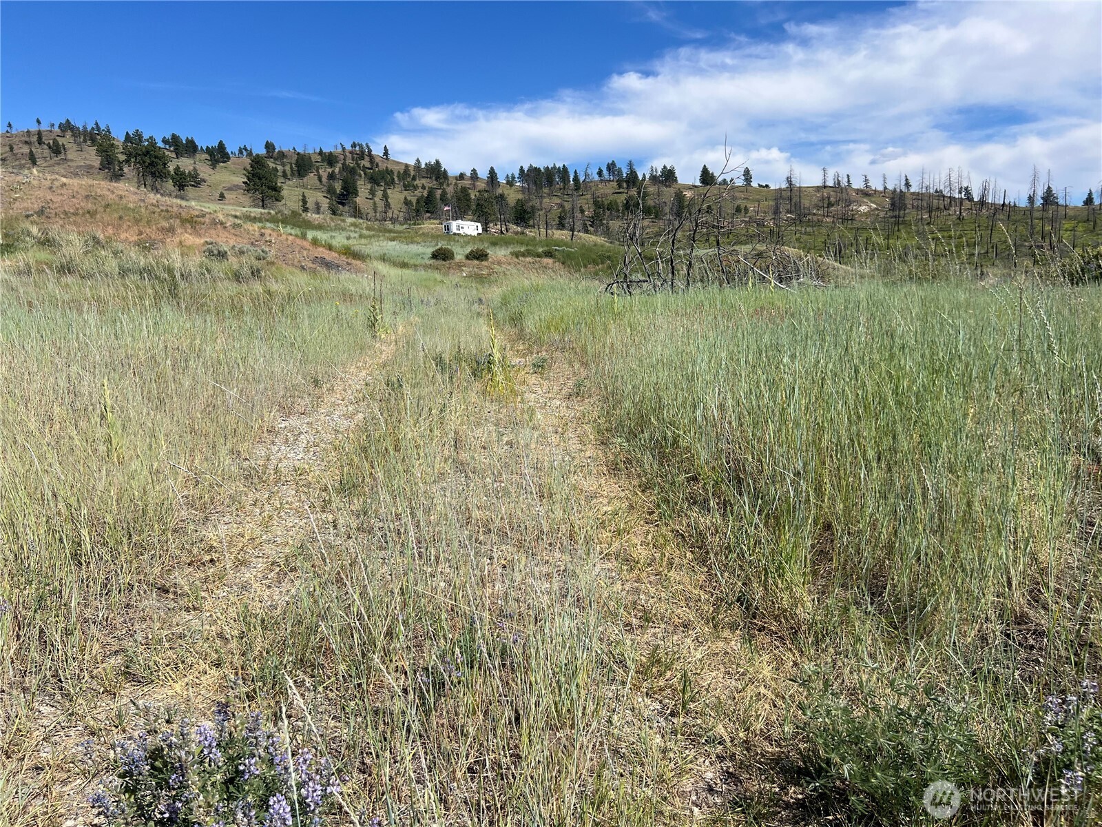 0 Lot 12 Lone Spur Road Property Photo 9