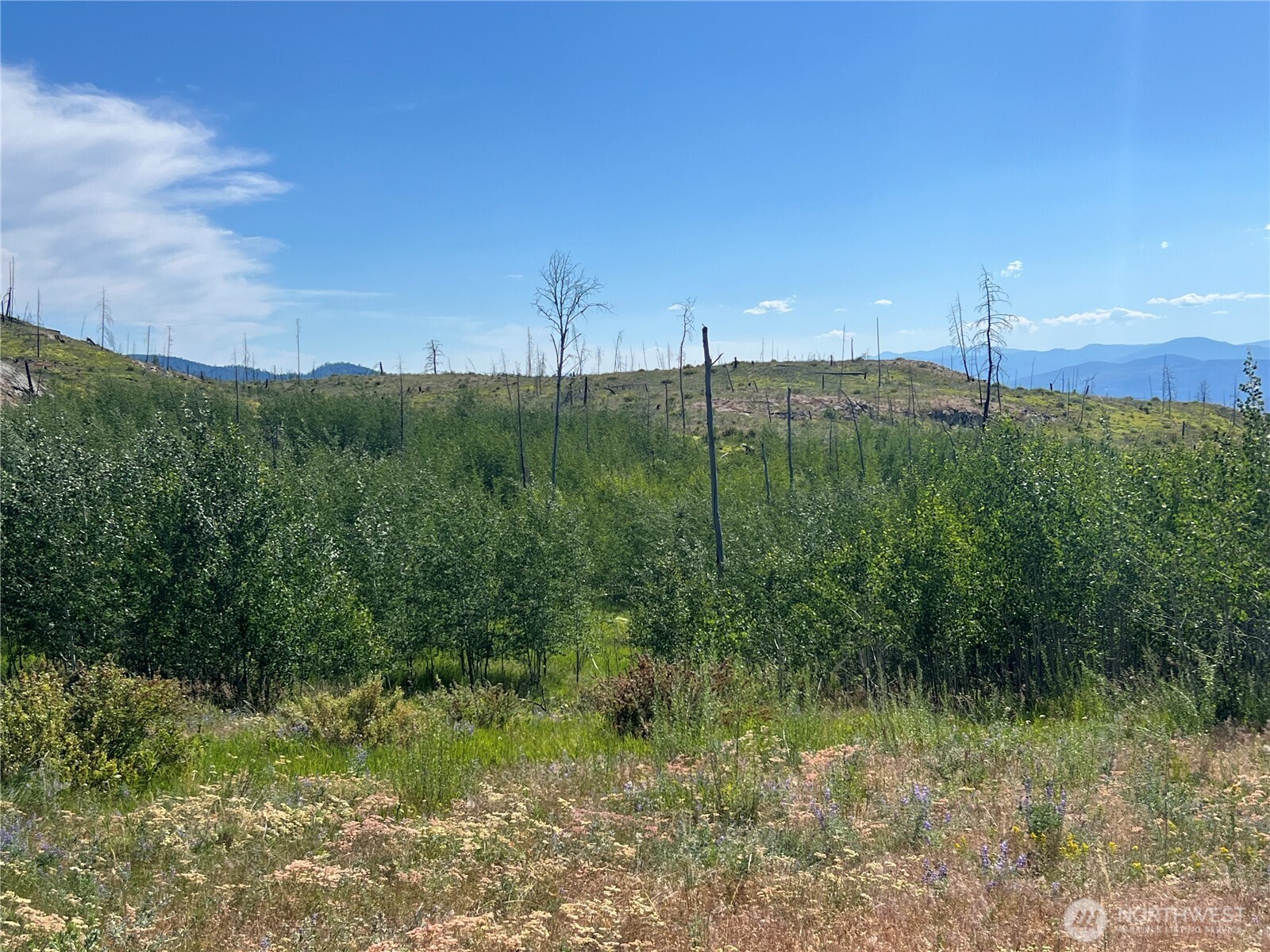 0 Lot 12 Lone Spur Road Property Photo 11