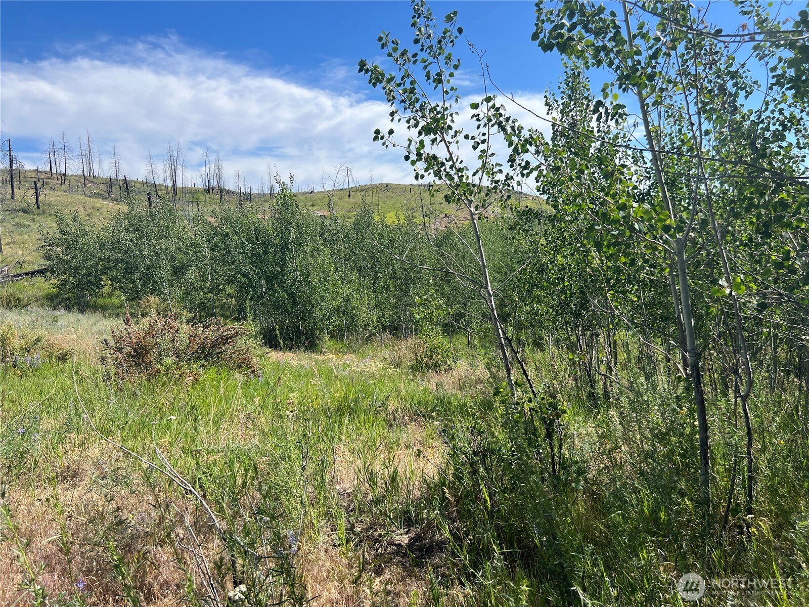 0 Lot 12 Lone Spur Road Property Photo 18