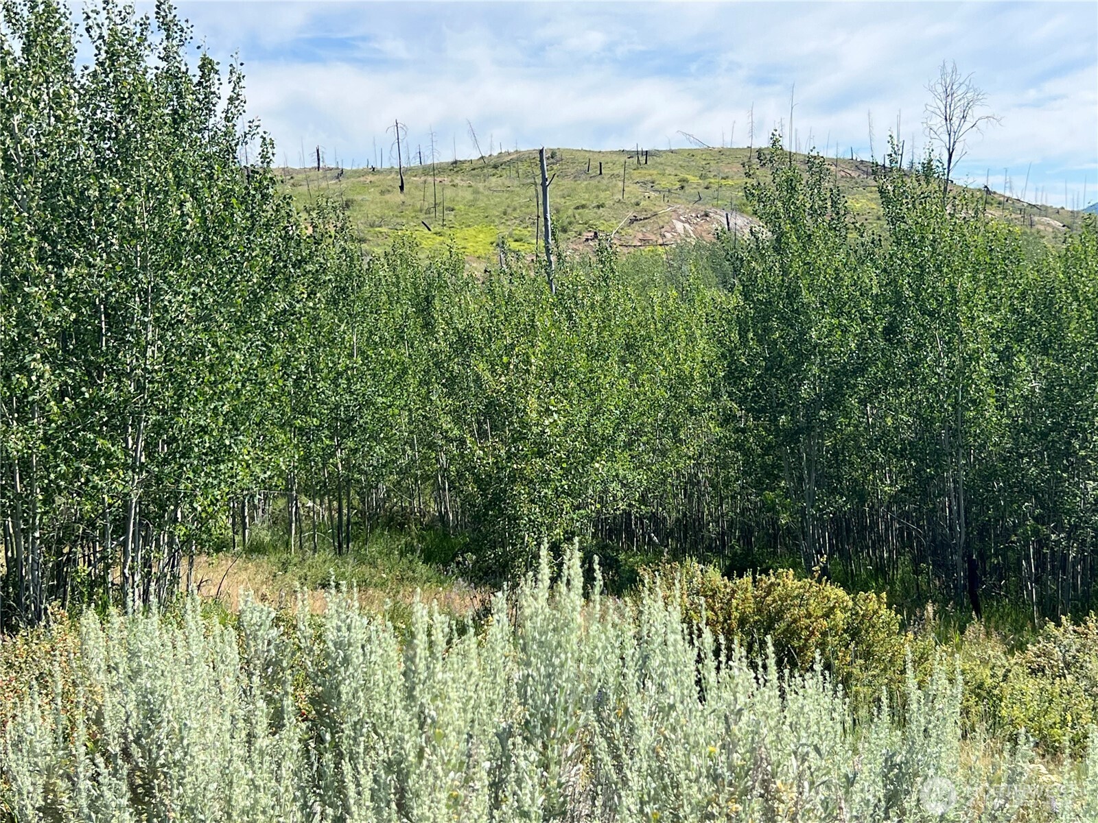 0 Lot 12 Lone Spur Road Property Photo 22