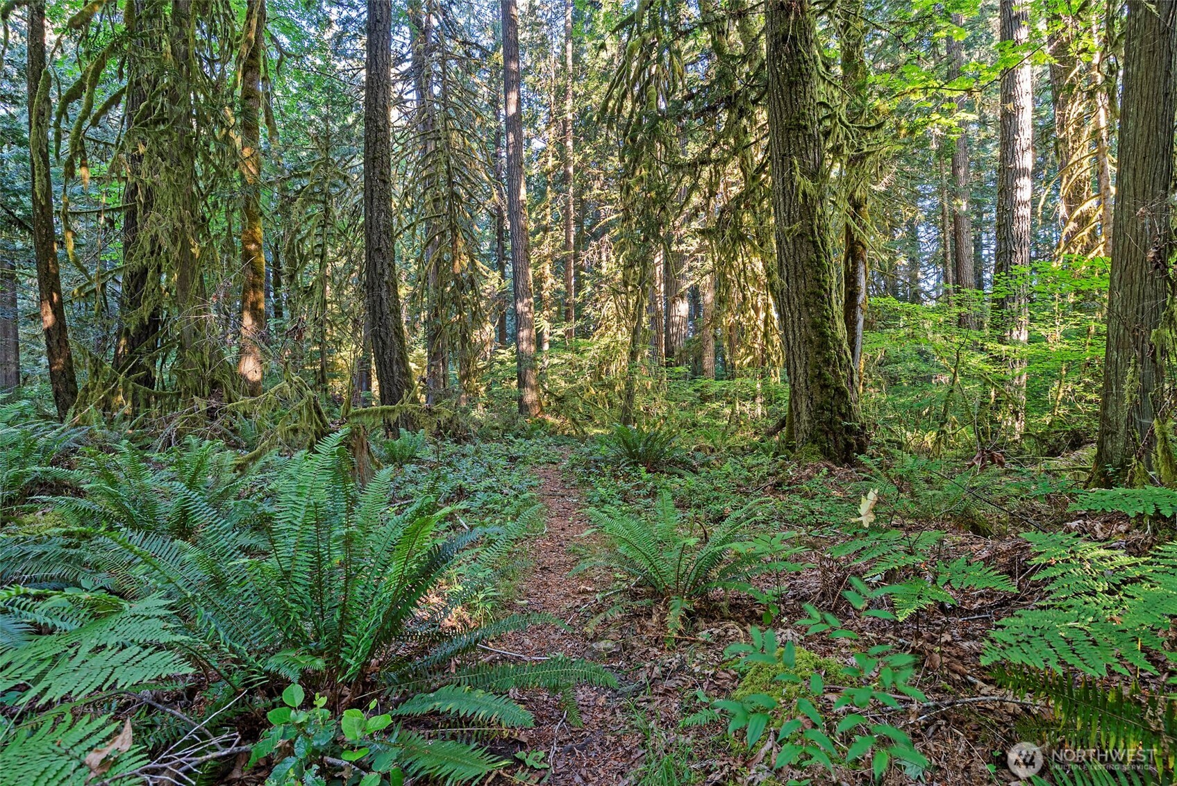 1052 E Mason Lake Drive Property Photo 24