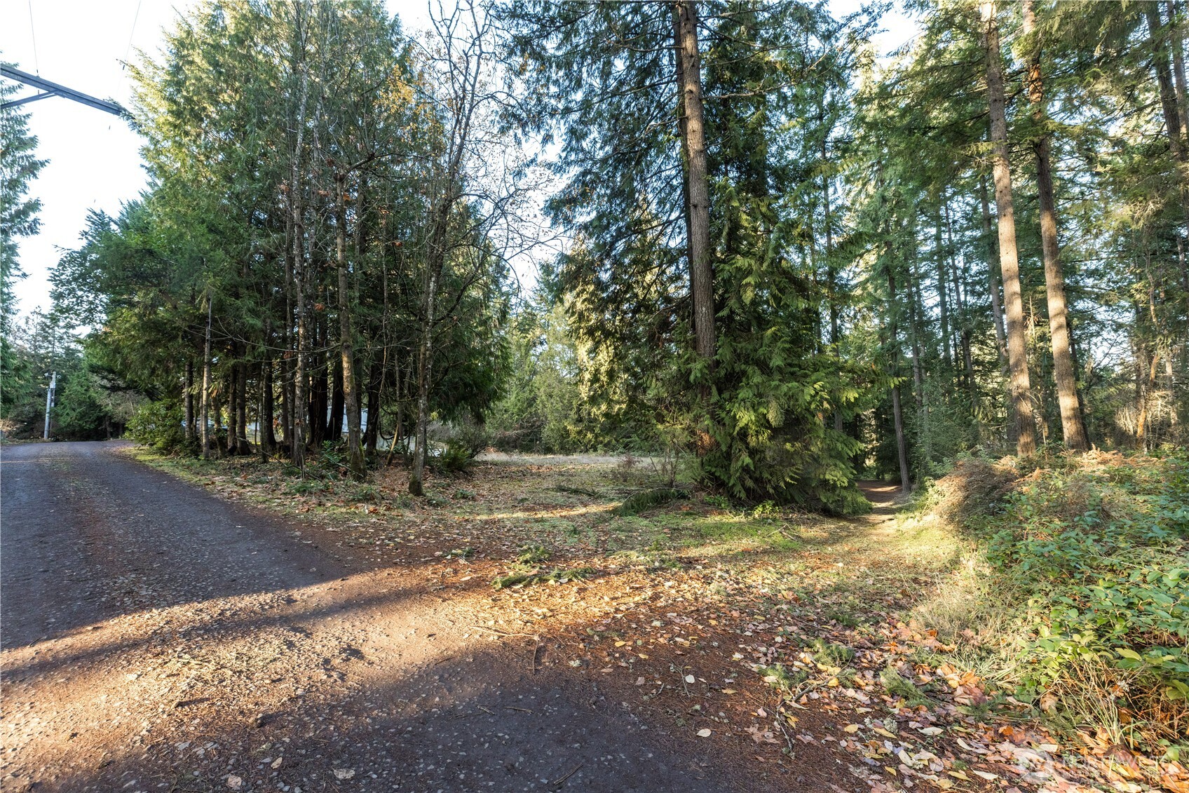 11656 Random Place Property Photo 6