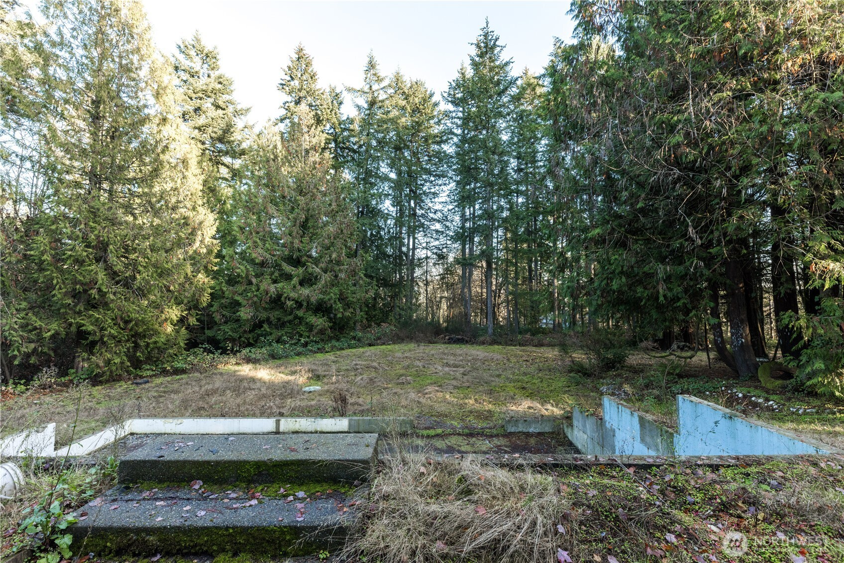 11656 Random Place Property Photo 8