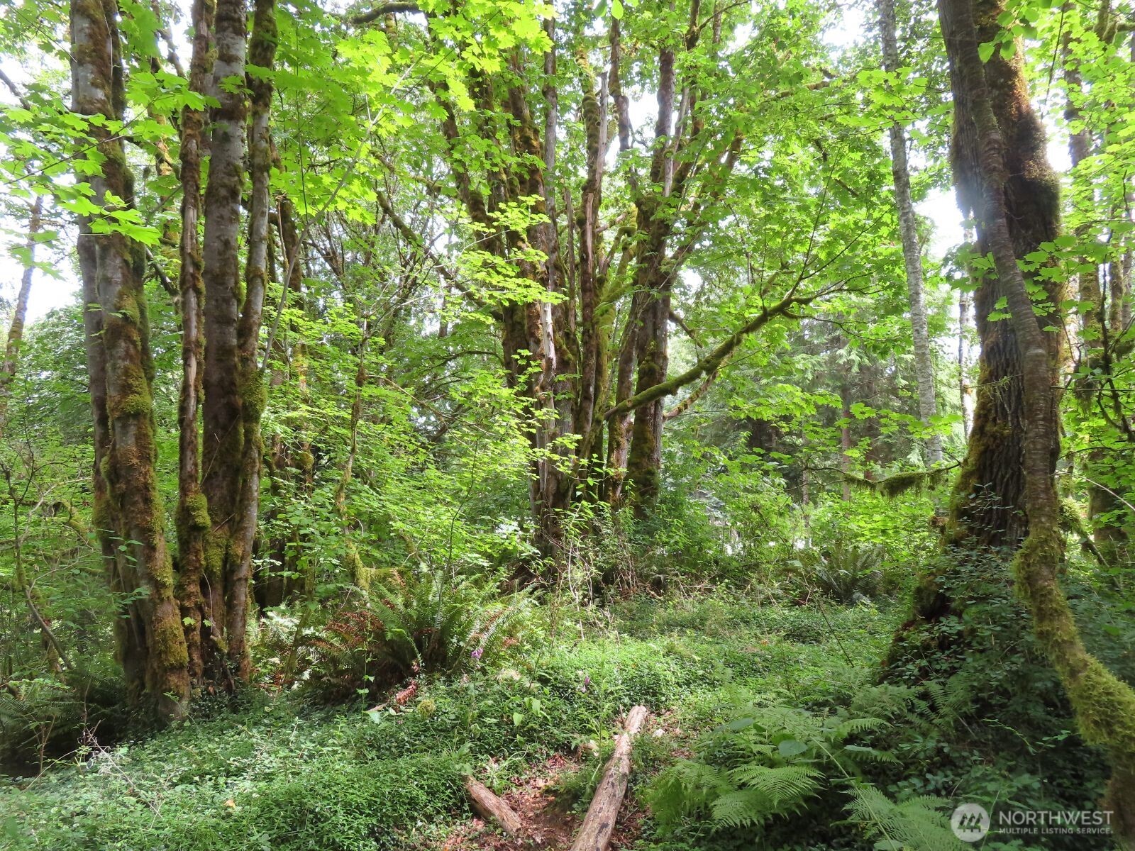 0 Lot 11 Valley View Drive Property Photo 1