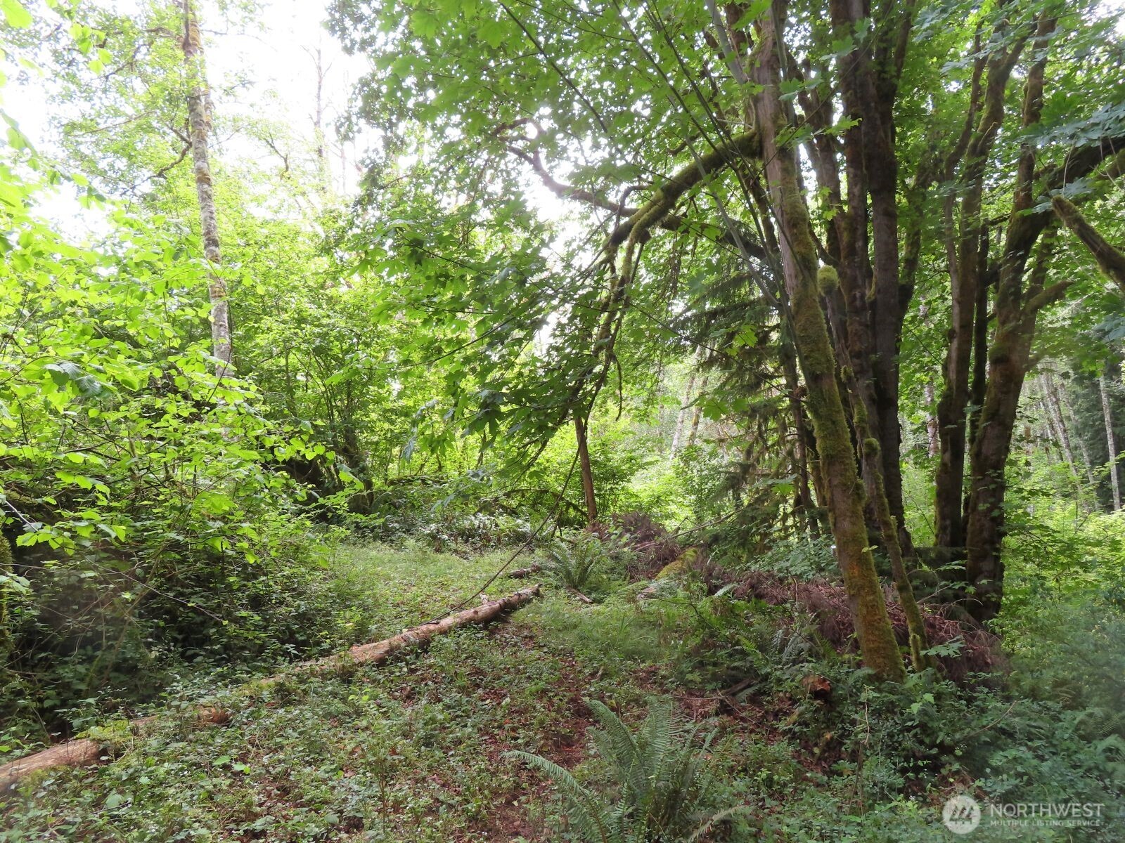 0 Lot 11 Valley View Drive Property Photo 2