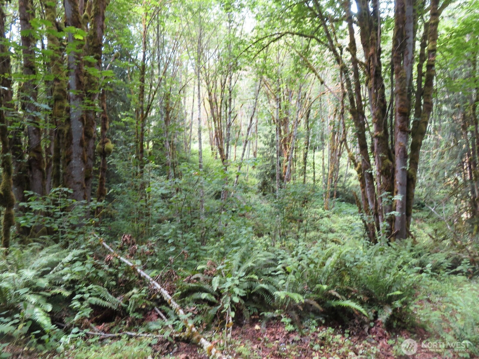 0 Lot 11 Valley View Drive Property Photo 3