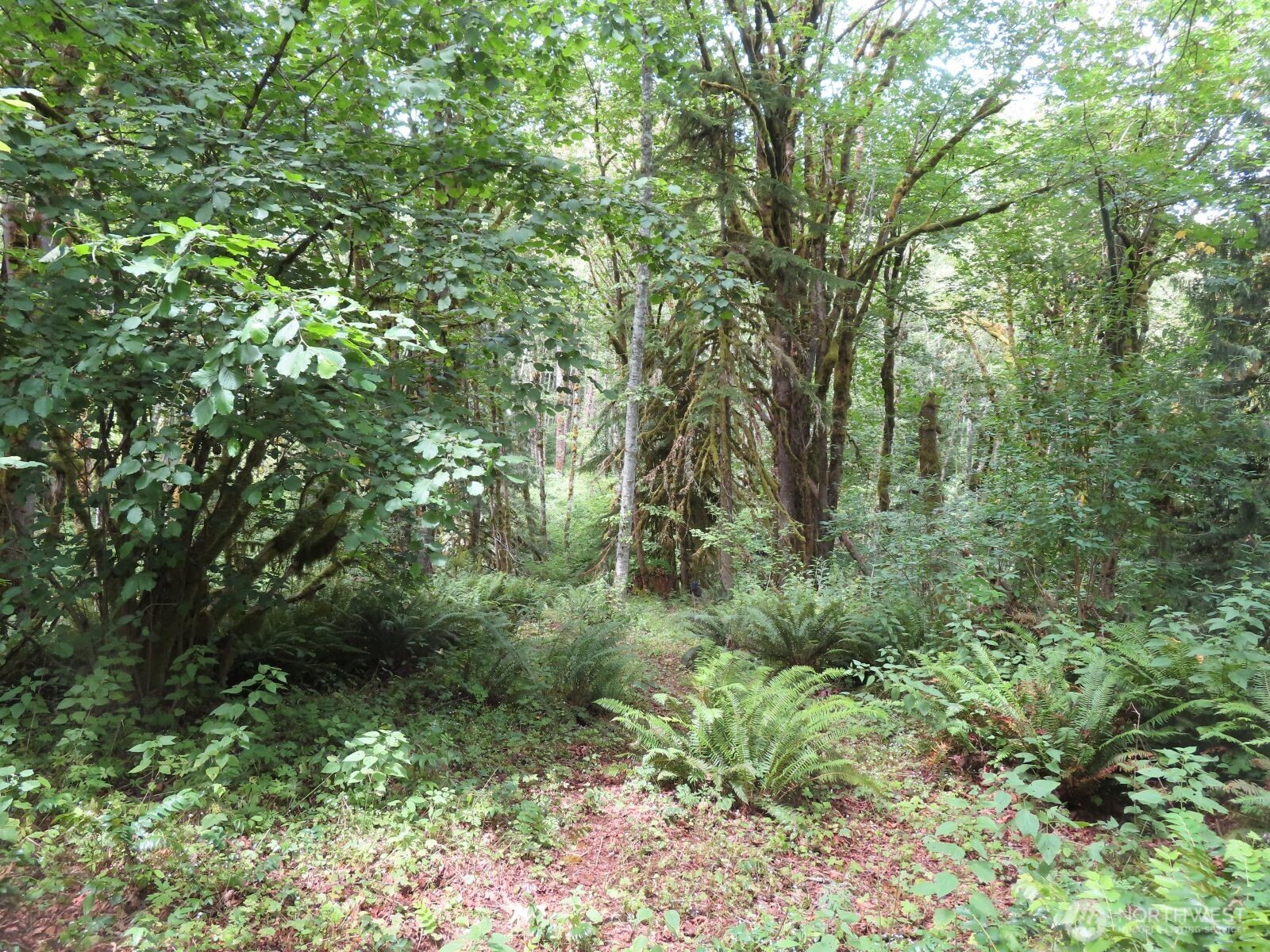 0 Lot 11 Valley View Drive Property Photo 4