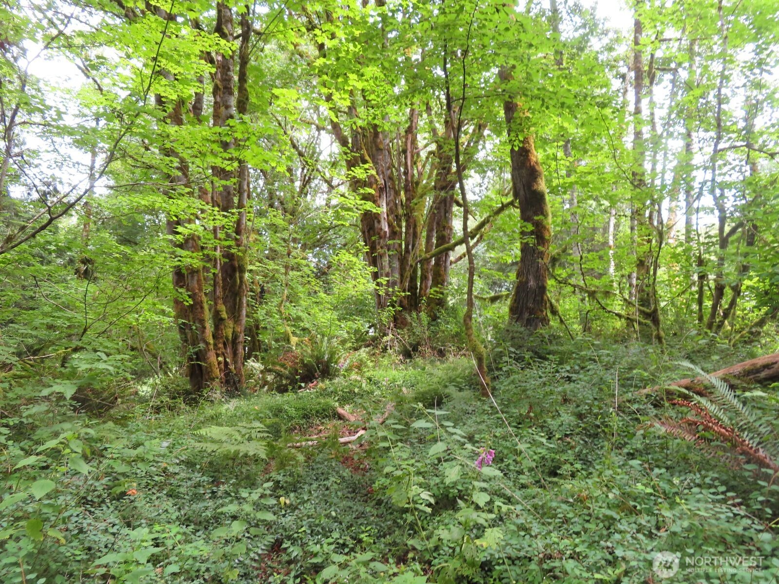 0 Lot 11 Valley View Drive Property Photo 5
