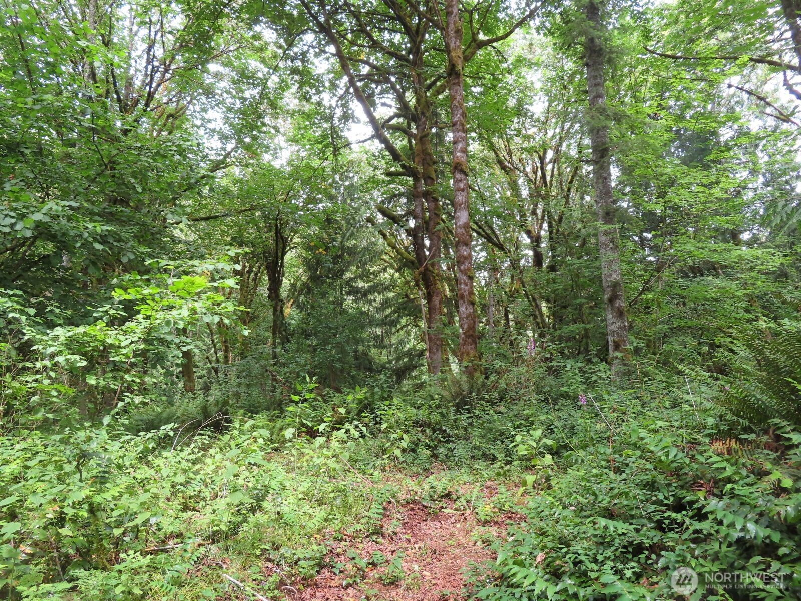 0 Lot 11 Valley View Drive Property Photo 6