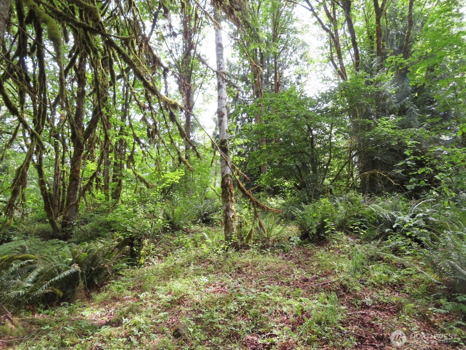 0 Lot 11 Valley View Drive Property Photo 7