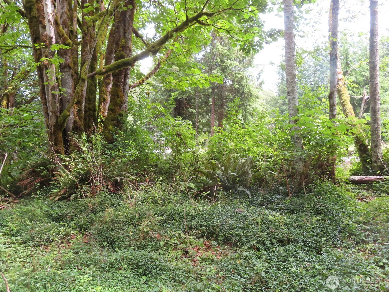 0 Lot 11 Valley View Drive Property Photo 8