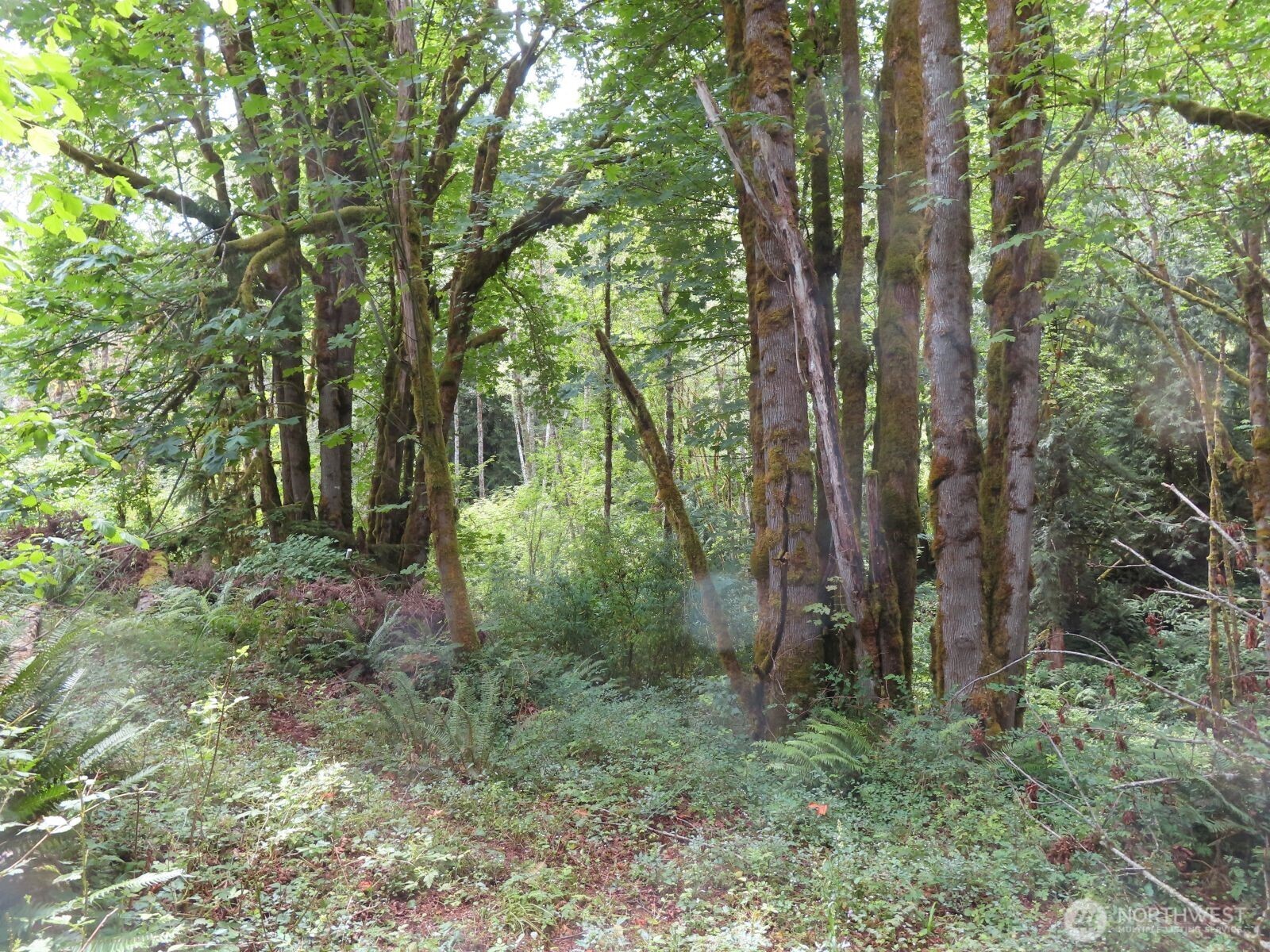 0 Lot 11 Valley View Drive Property Photo 9