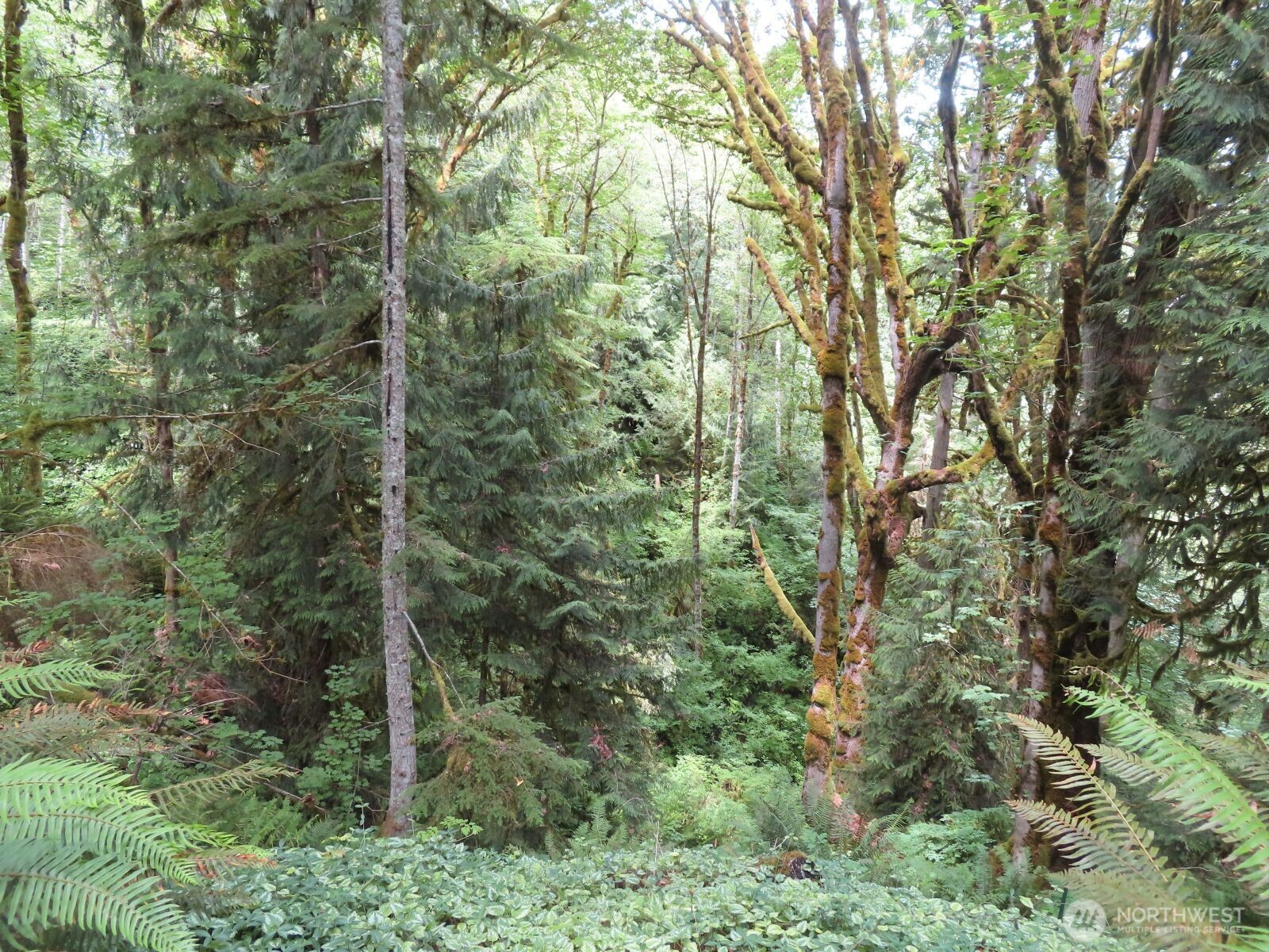 0 Lot 11 Valley View Drive Property Photo 11