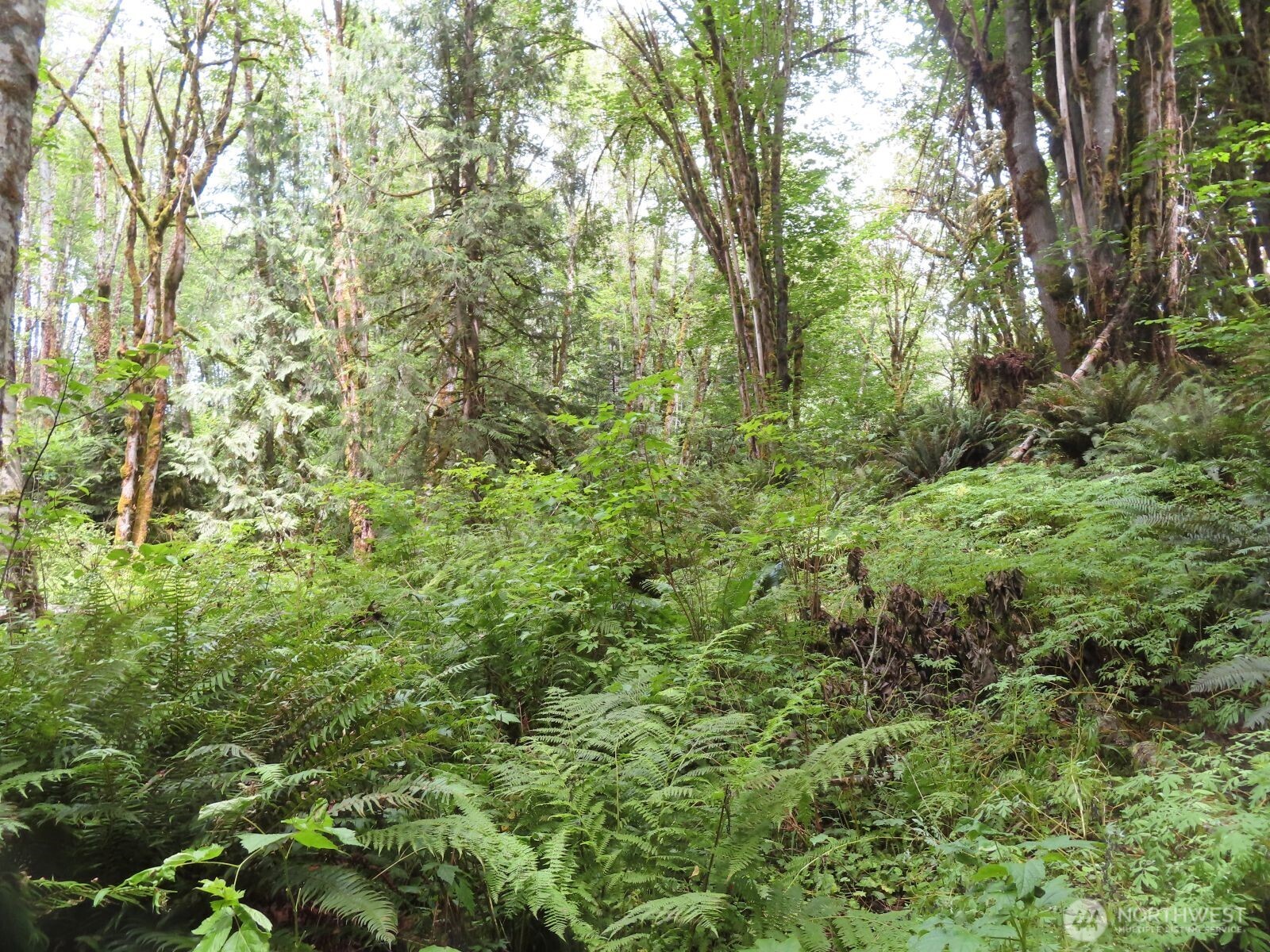 0 Lot 11 Valley View Drive Property Photo 12