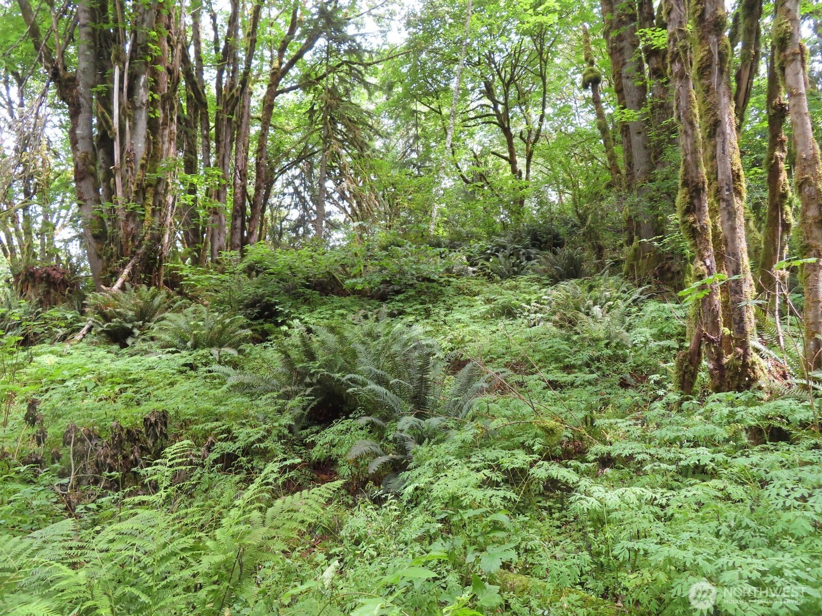 0 Lot 11 Valley View Drive Property Photo 13