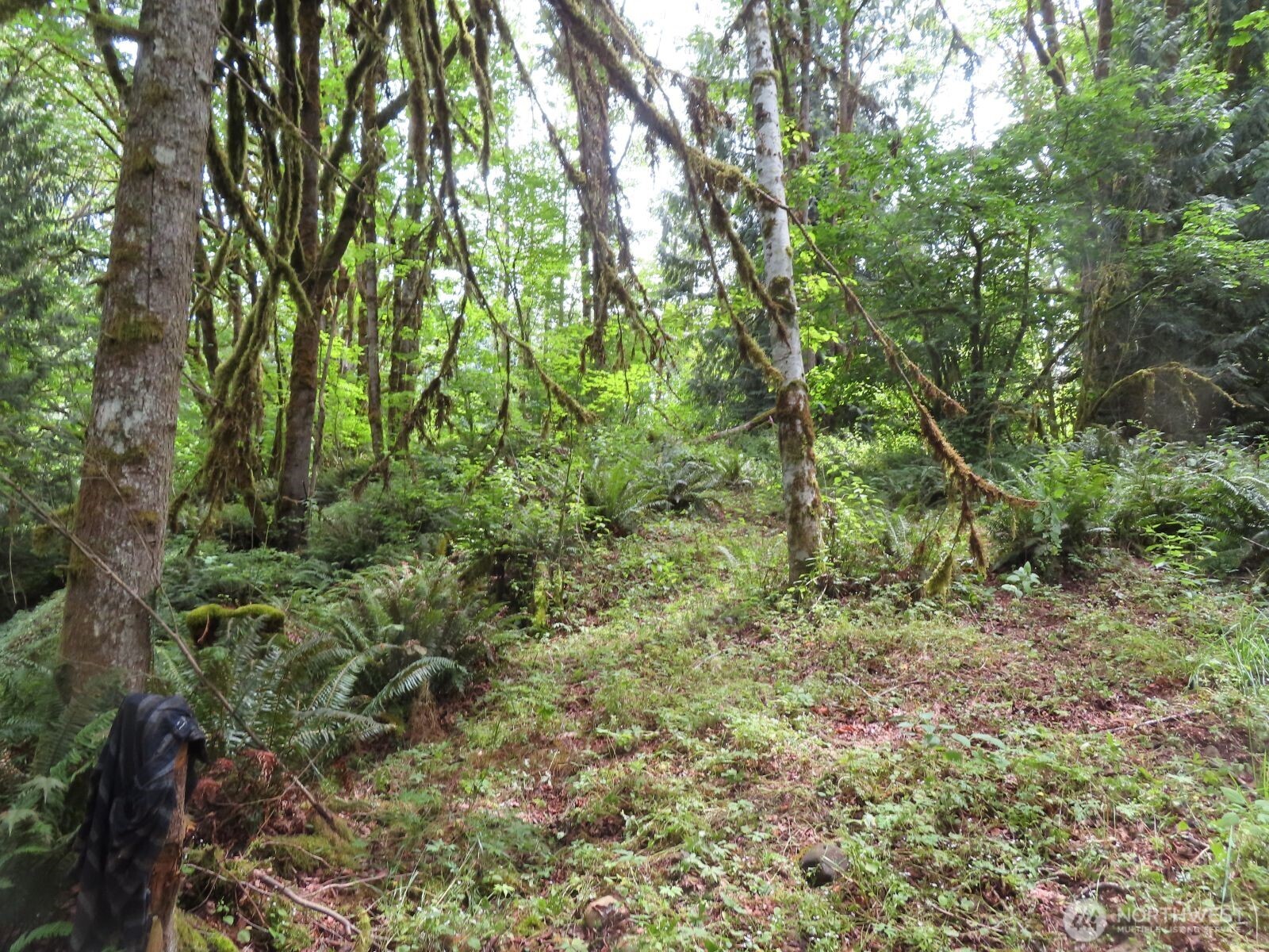 0 Lot 11 Valley View Drive Property Photo 14