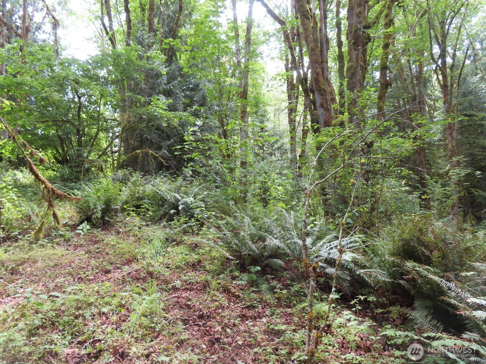 0 Lot 11 Valley View Drive Property Photo 15