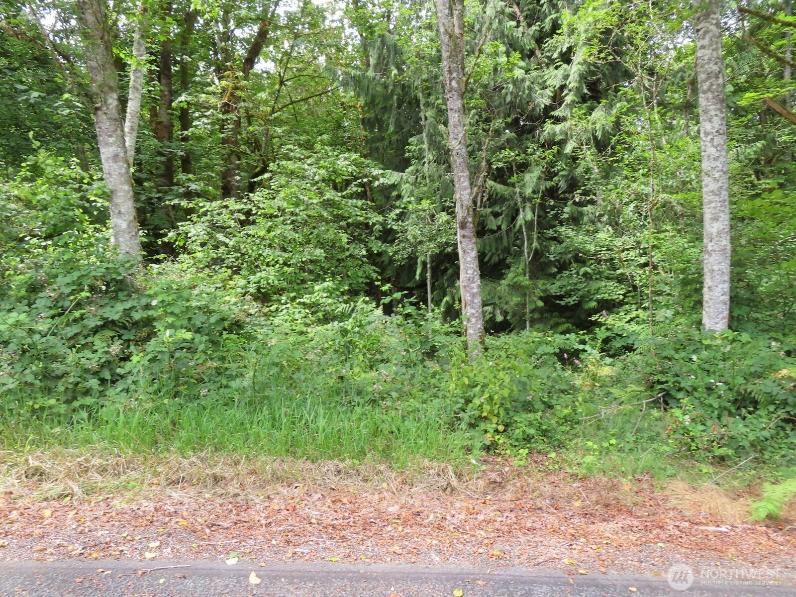 0 Lot 11 Valley View Drive Property Photo 16