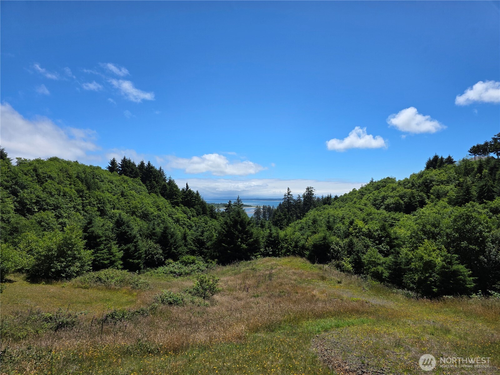 31 XX Discovery Court Property Photo 1