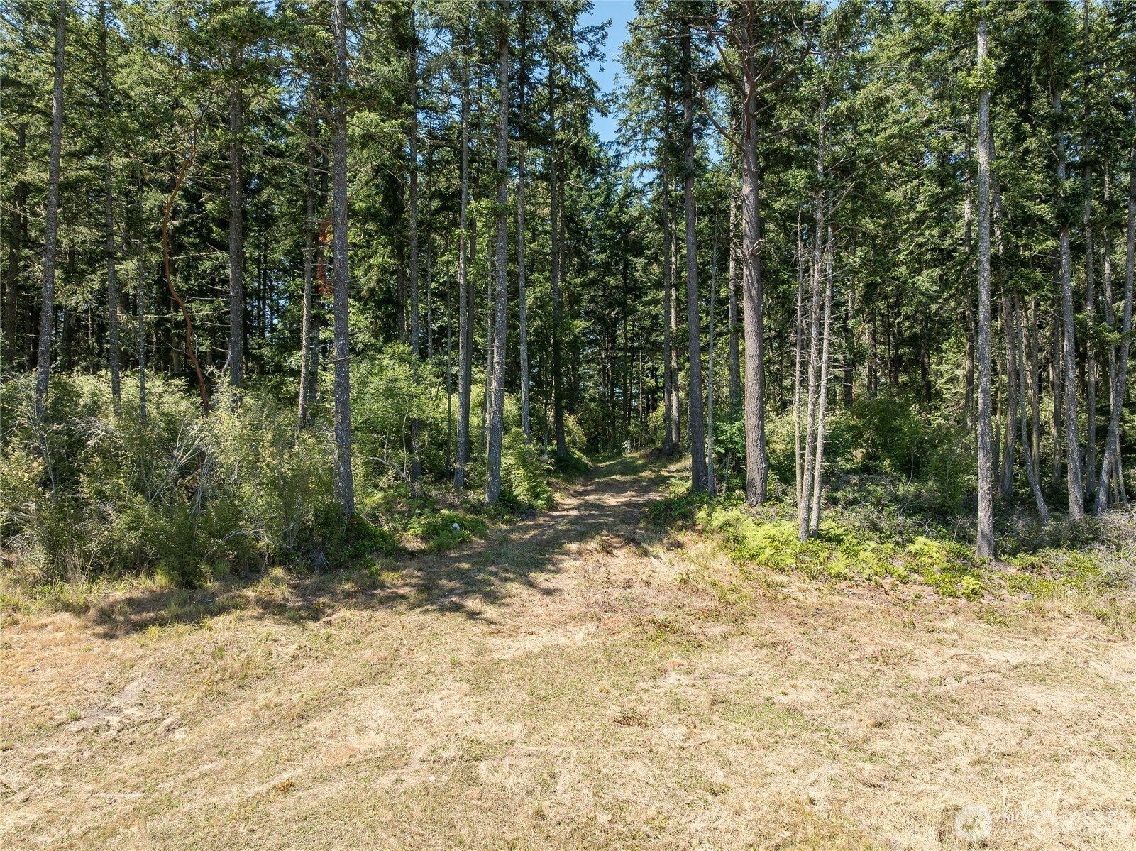 207 Suntides Lane Property Photo 8