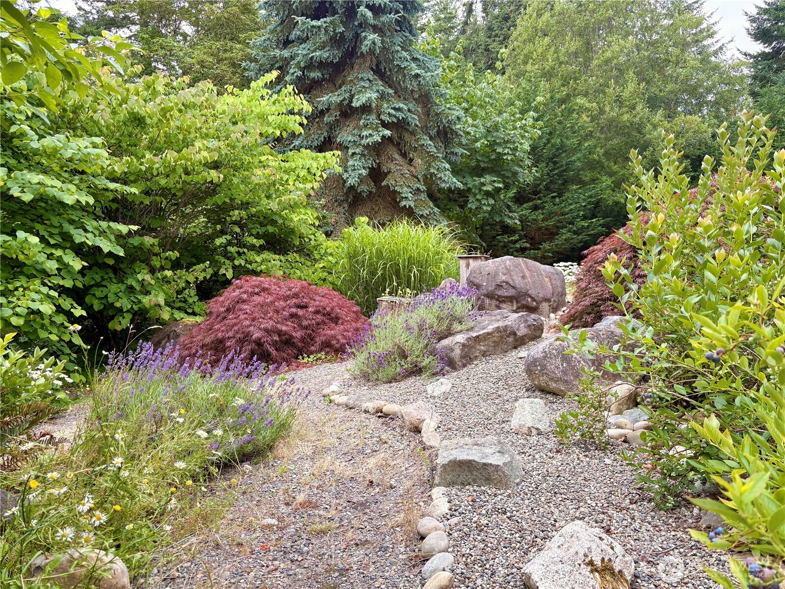 714 Tipsoo Loop Property Photo 3