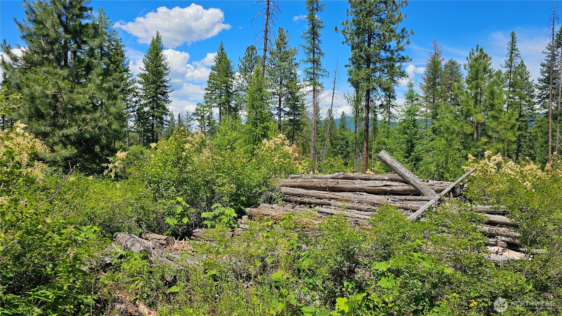432 X Bussard Lake Road Property Photo 4