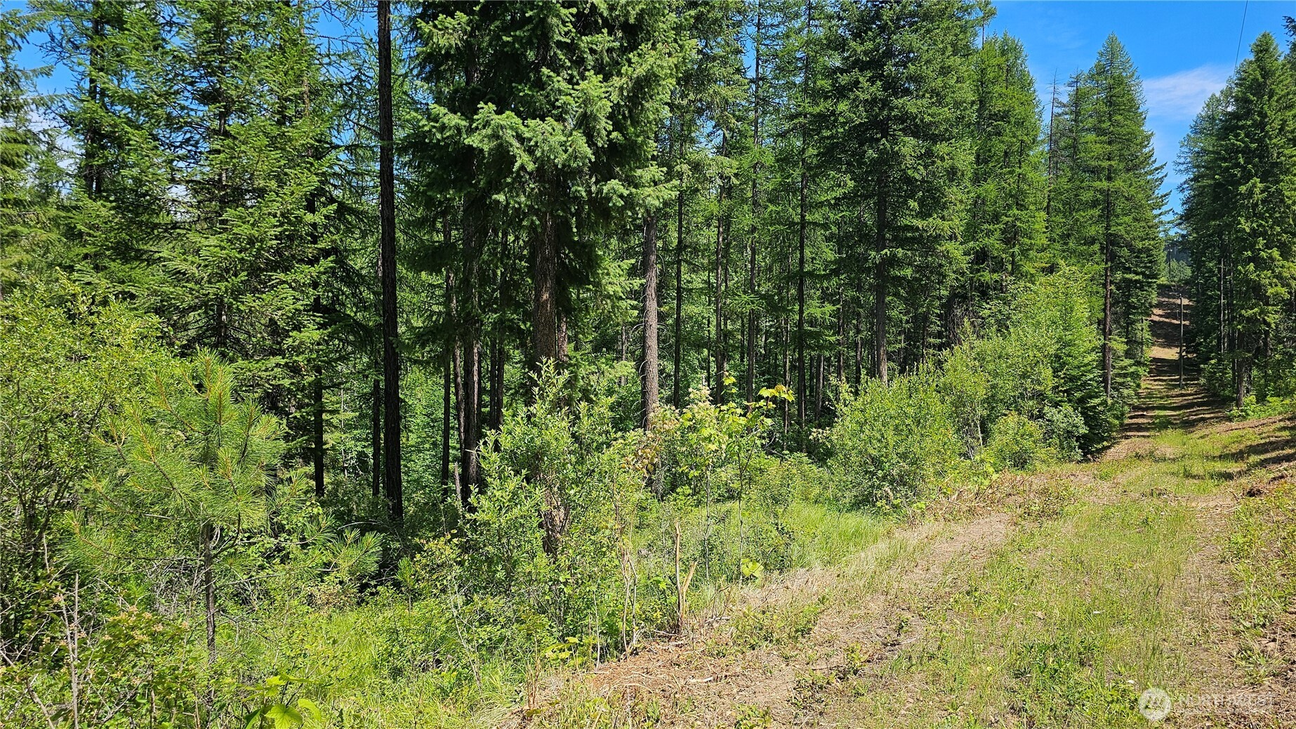 432 X Bussard Lake Road Property Photo 5