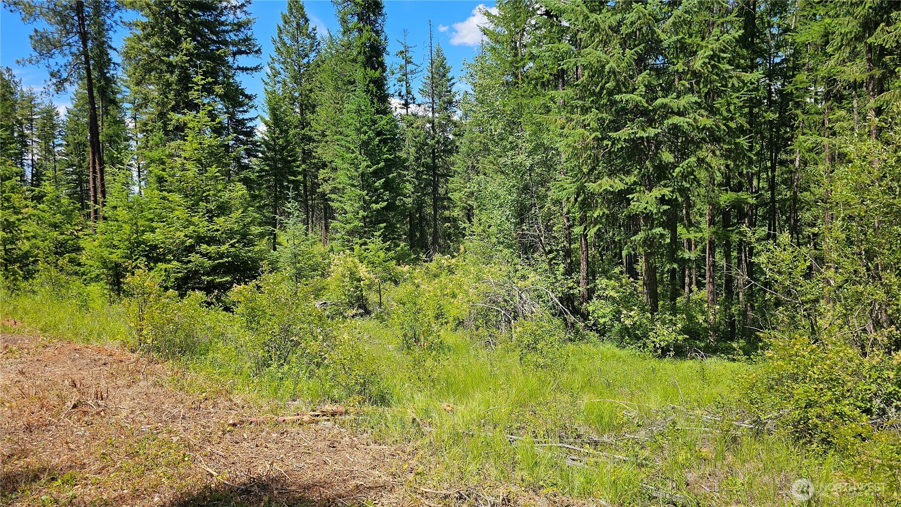 432 X Bussard Lake Road Property Photo 7