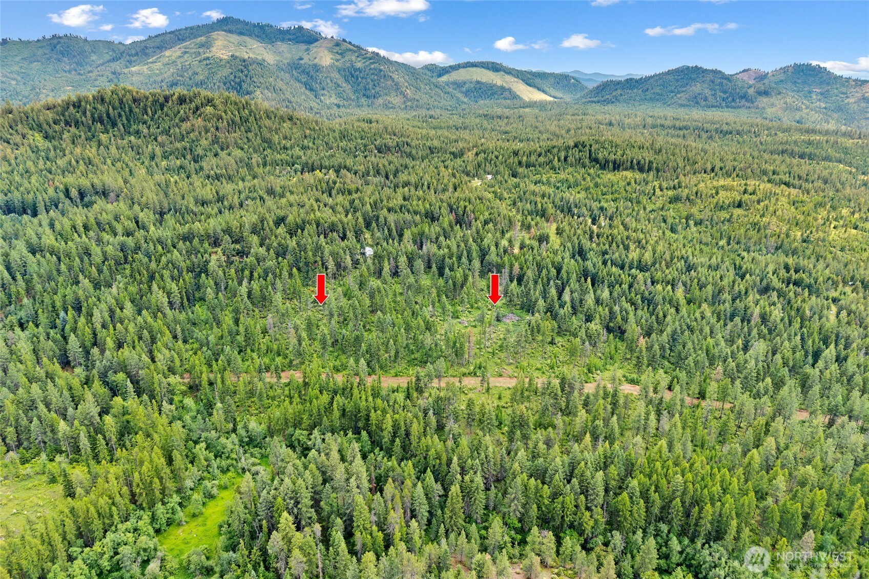 432 X Bussard Lake Road Property Photo 12