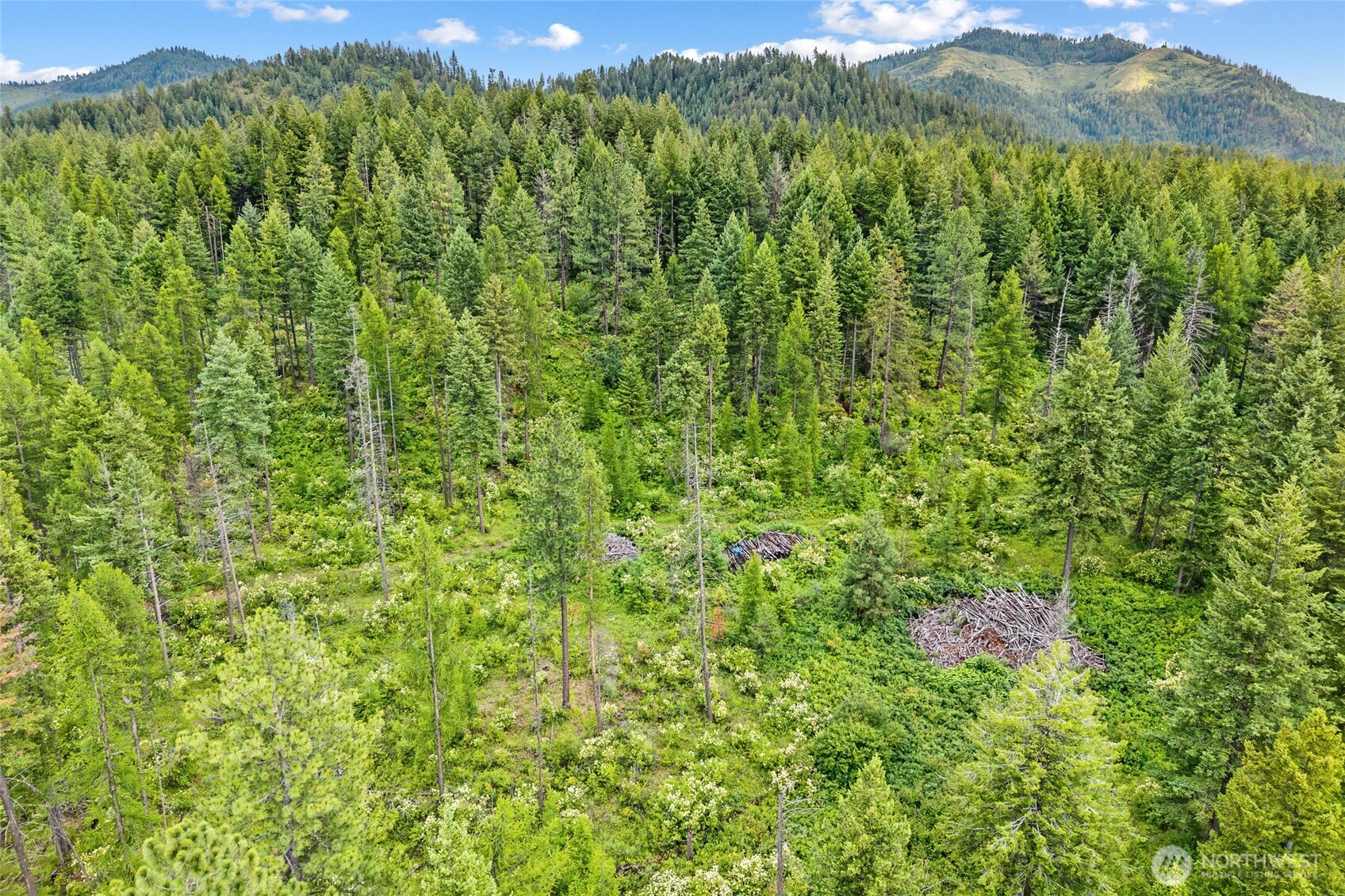 432 X Bussard Lake Road Property Photo 14