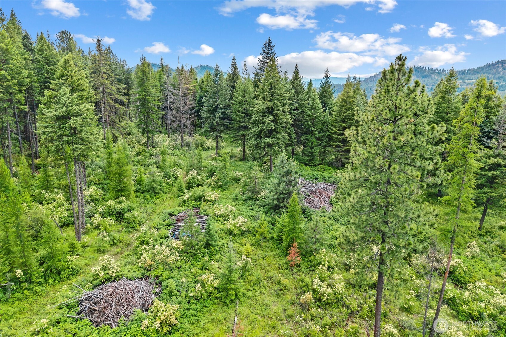 432 X Bussard Lake Road Property Photo 15