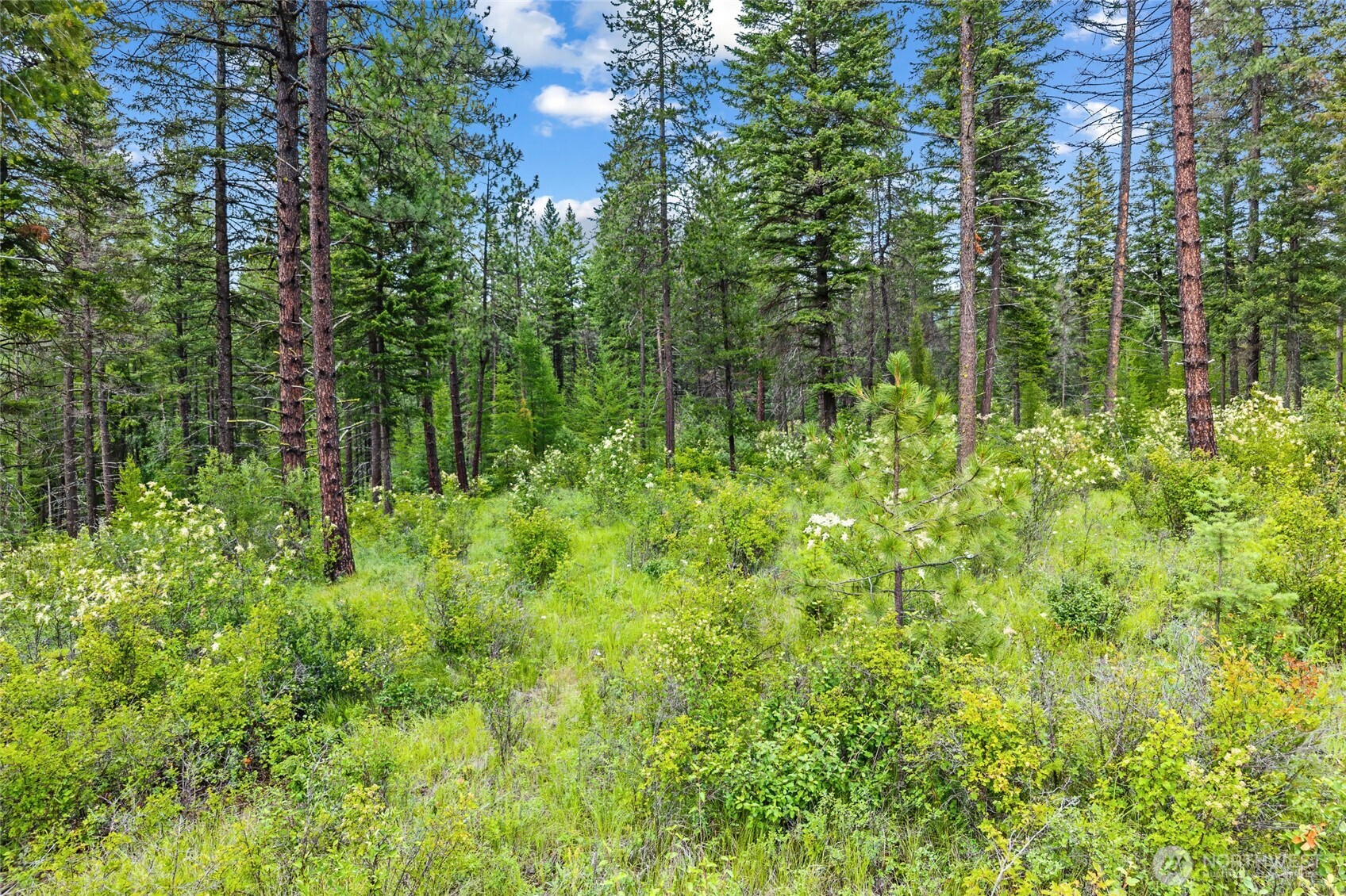 432 X Bussard Lake Road Property Photo 17