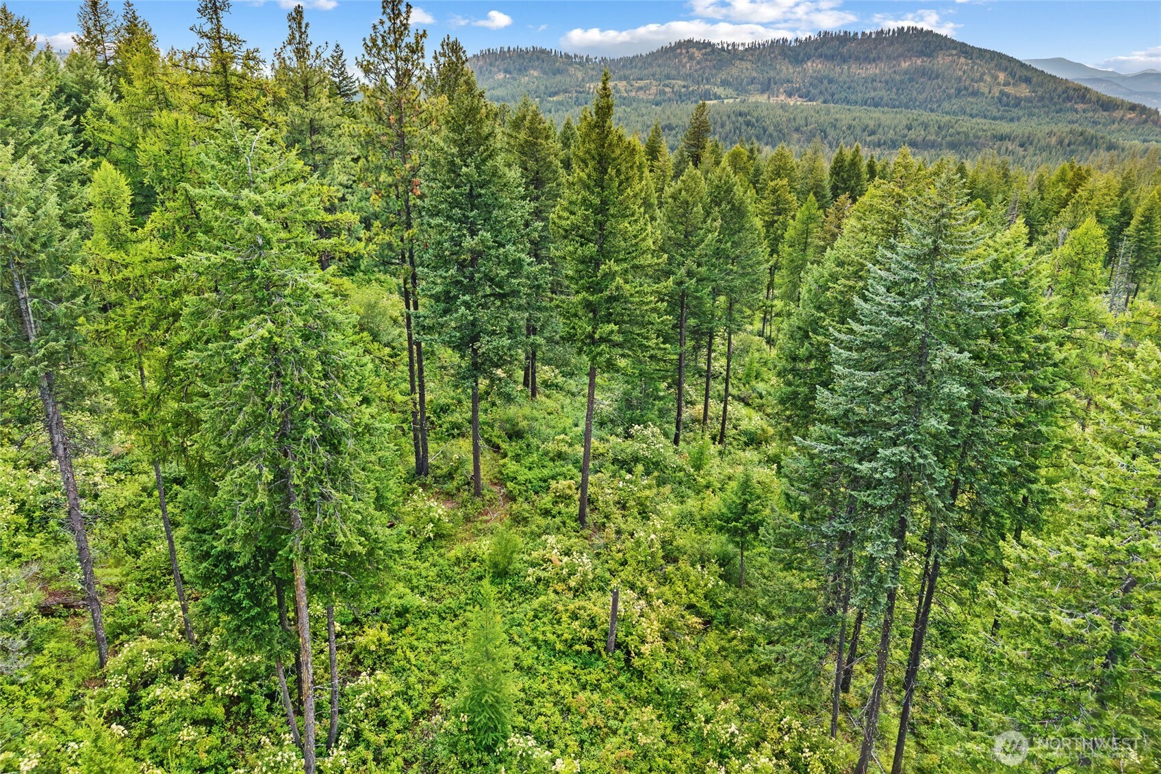 432 X Bussard Lake Road Property Photo 19
