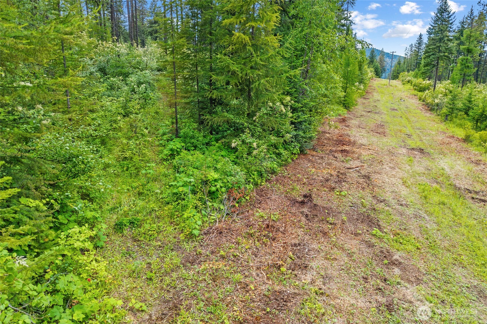 432 X Bussard Lake Road Property Photo 22