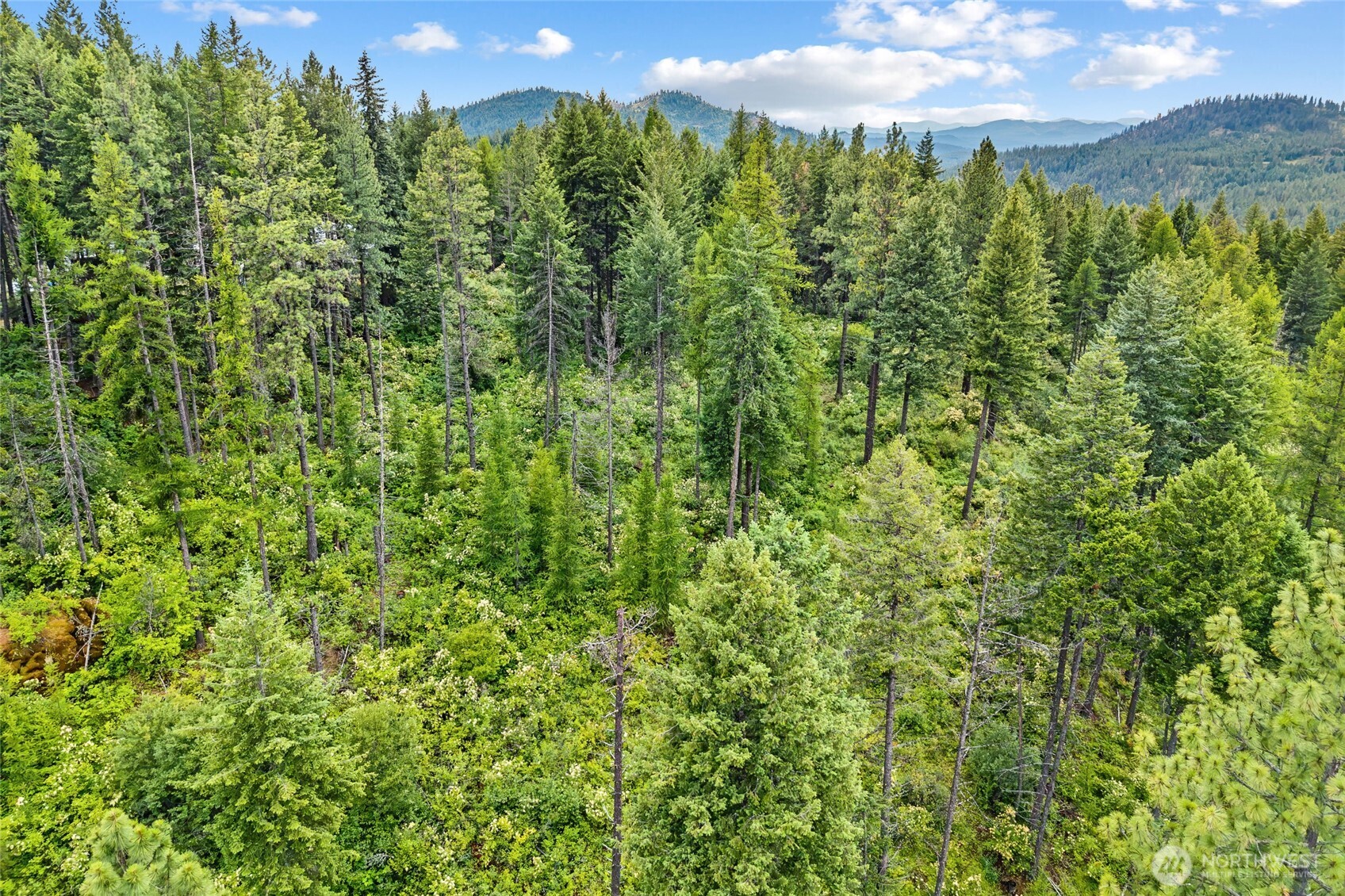 432 X Bussard Lake Road Property Photo 25