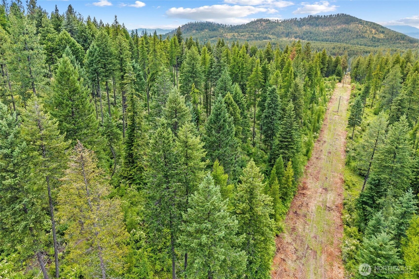 432 X Bussard Lake Road Property Photo 26