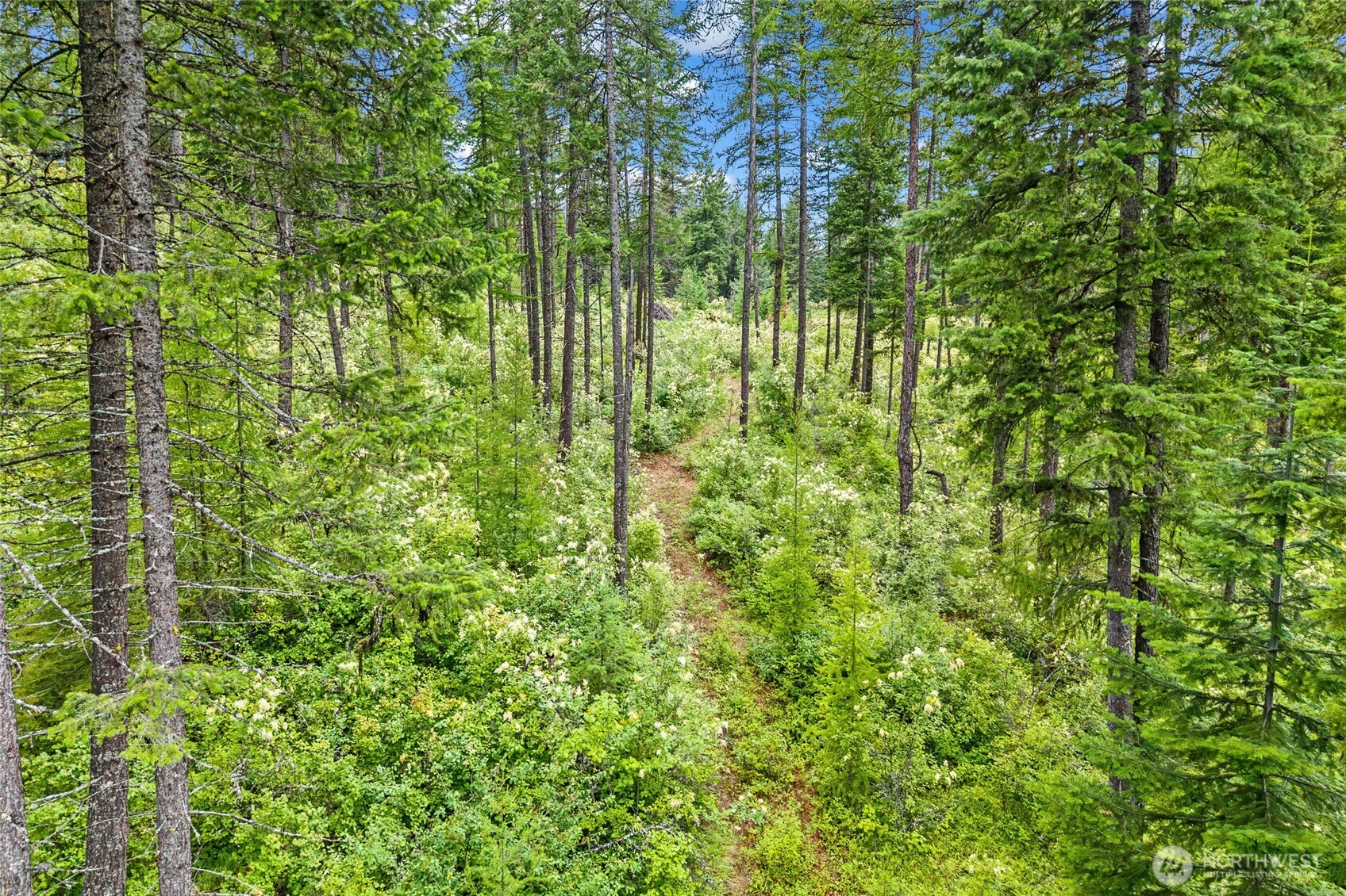 432 X Bussard Lake Road Property Photo 27