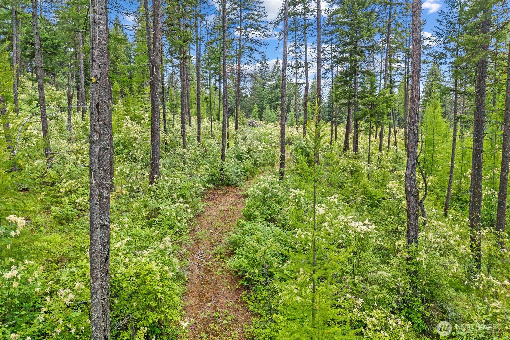432 X Bussard Lake Road Property Photo 28