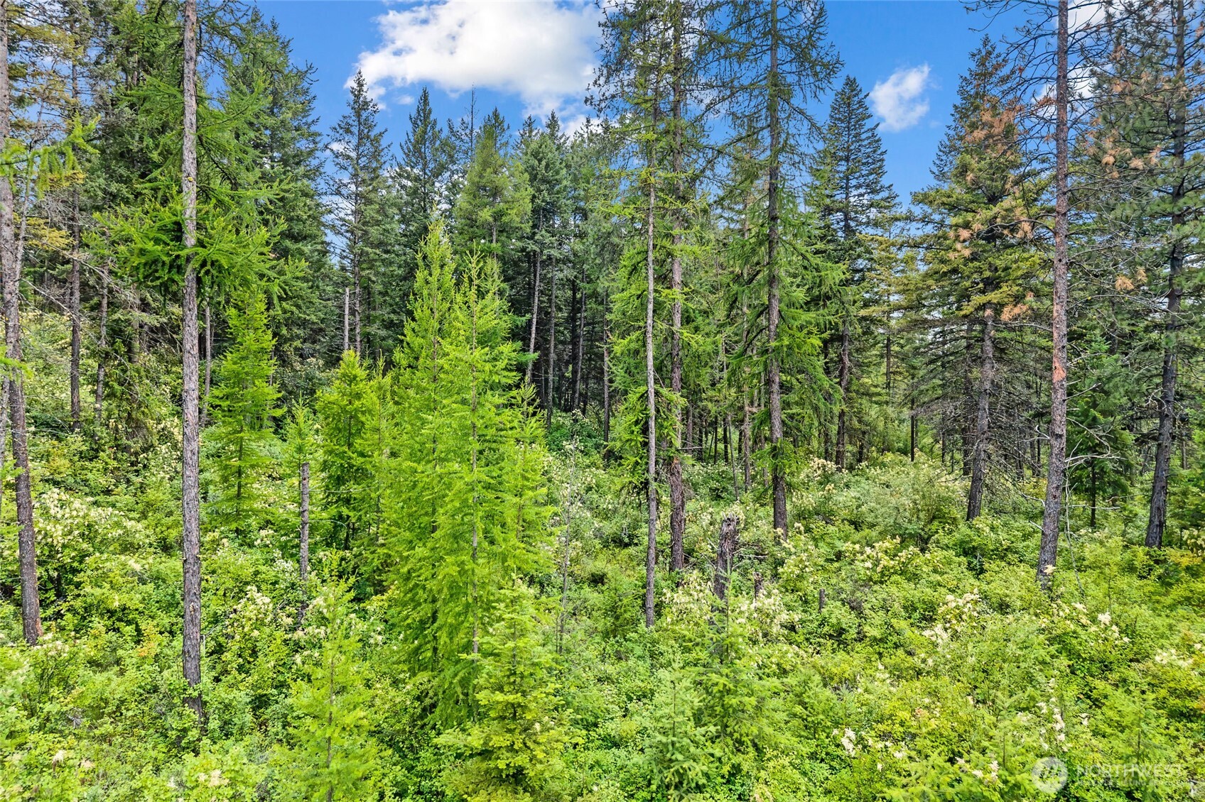 432 X Bussard Lake Road Property Photo 31