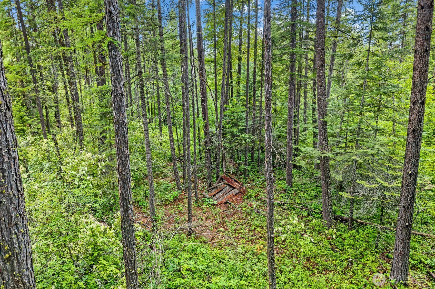 432 X Bussard Lake Road Property Photo 32